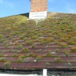 is it time for a new roof