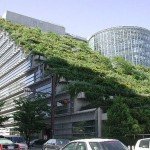 green roof