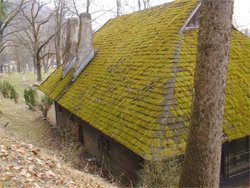 mossy roof