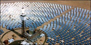 solar panel plant vs rooftop panels