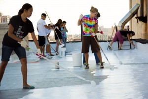 roof painting