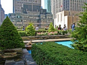 roof garden