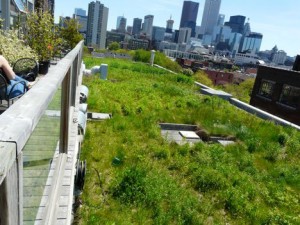 Kids Advocate For Green Roof