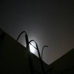 Working Safely on your Roof