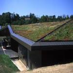 Green Roof Maintenance